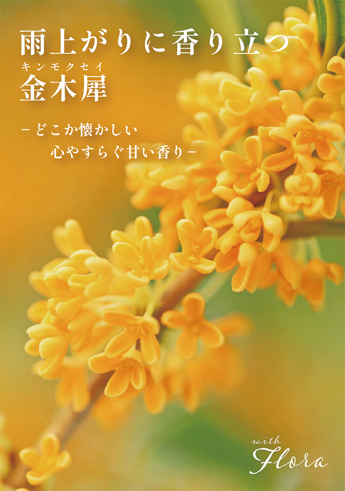 Bleu Bleuet（ブルーブルーエ）