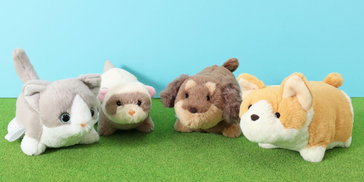 ショートレッグぽちゃ