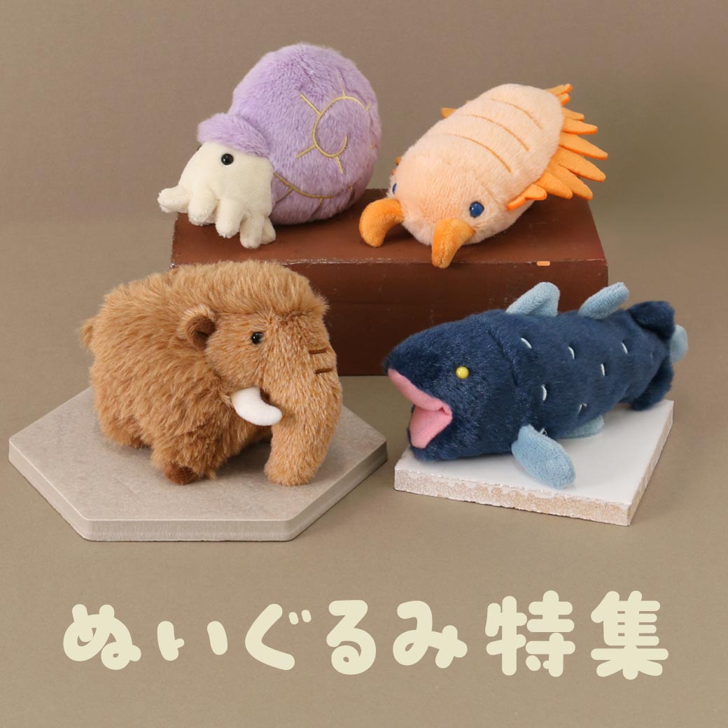 ぬいぐるみ特集