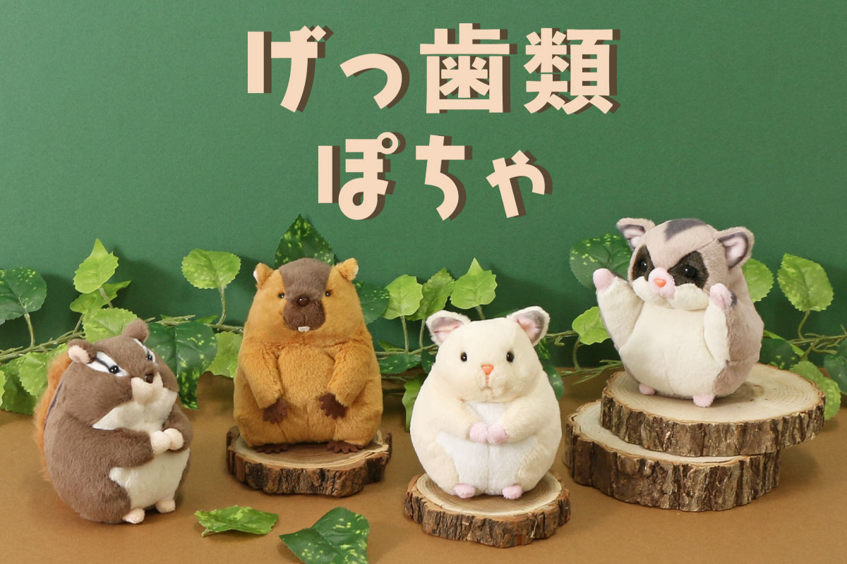 Bleu Bleuet(ブルーブルーエ)