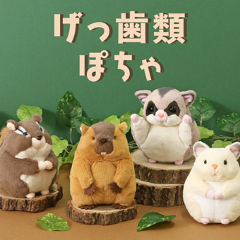 げっ歯類ぽちゃぬいぐるみ