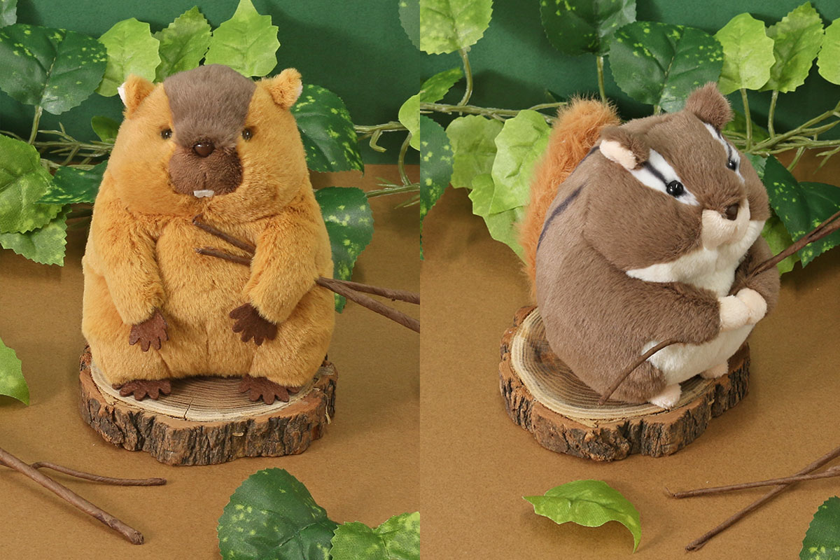 Bleu Bleuet（ブルーブルーエ）