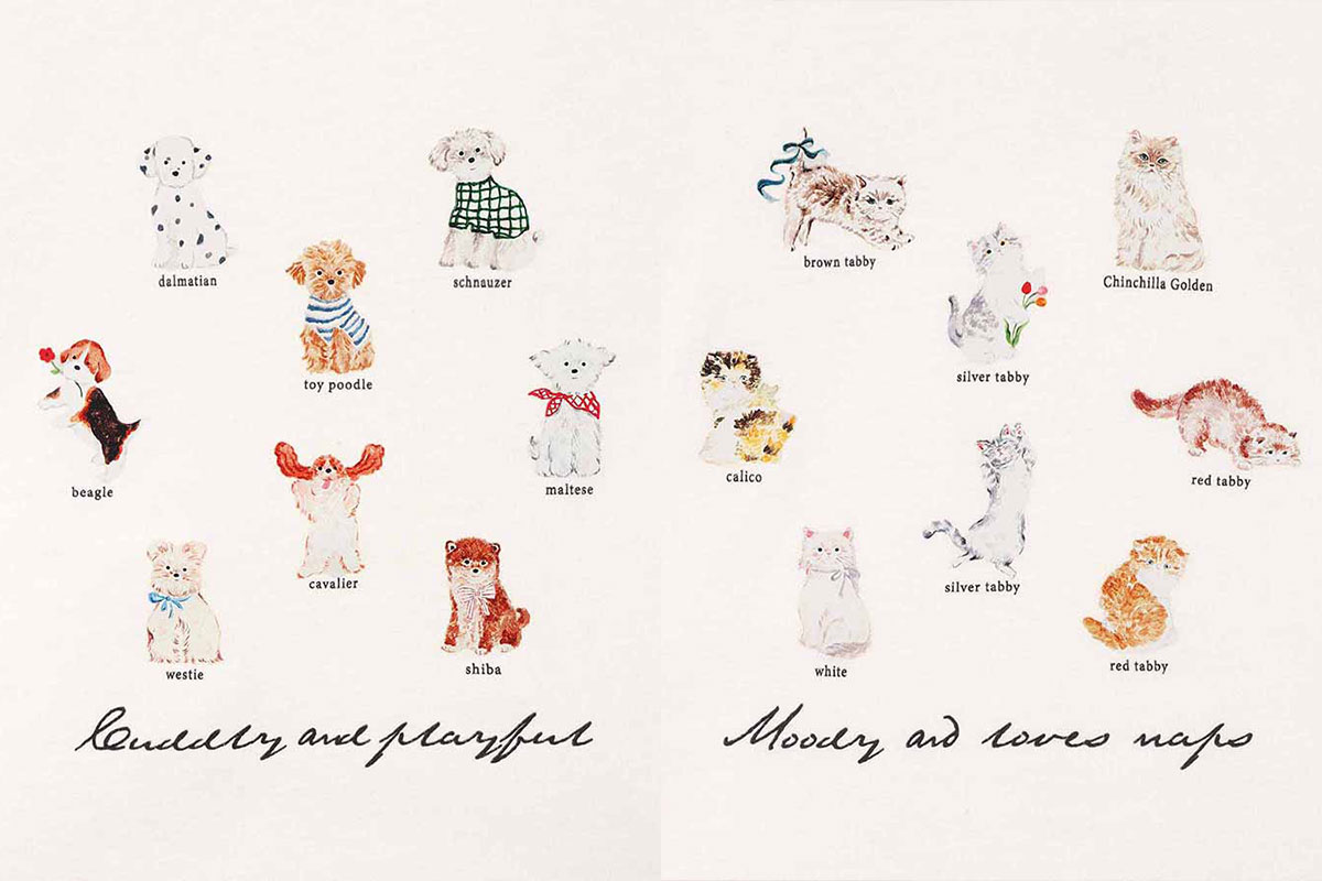 Bleu Bleuet（ブルーブルーエ）