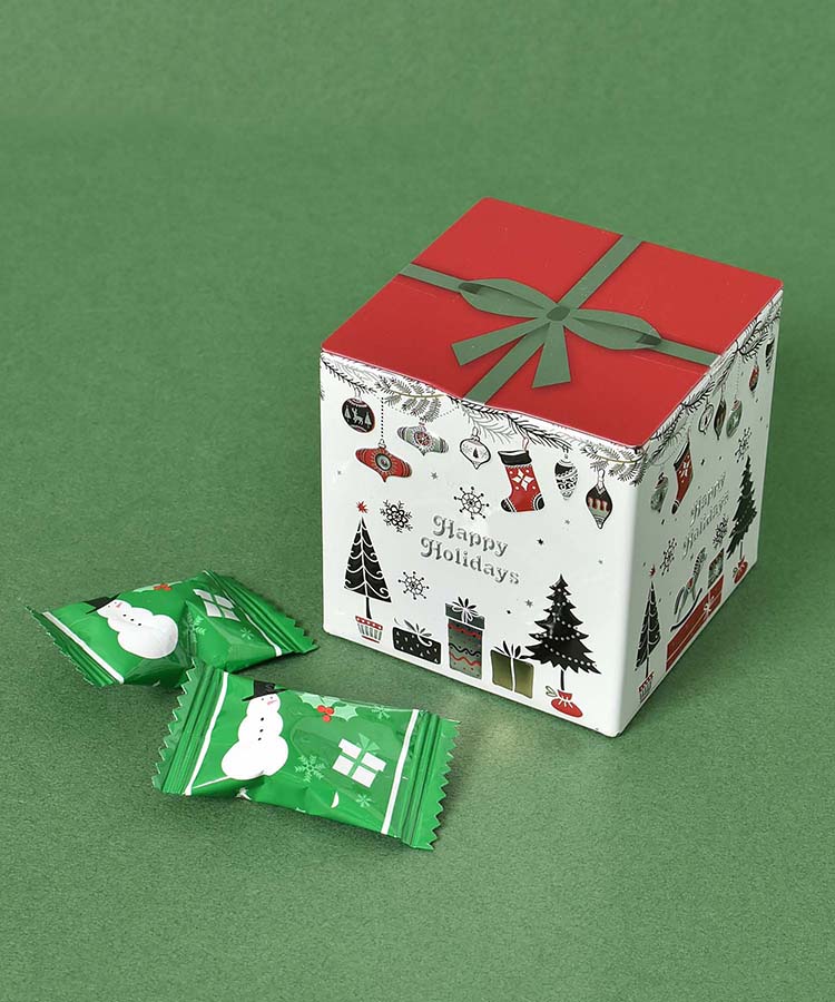 エウレカ クリスマスギフトボックス缶 | Bleu Bleuet（ブルーブルーエ