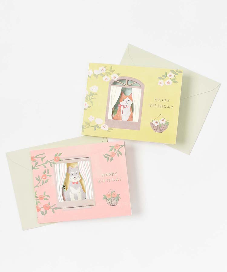 バースデーウィンドウパーティカード メッセージカード カード