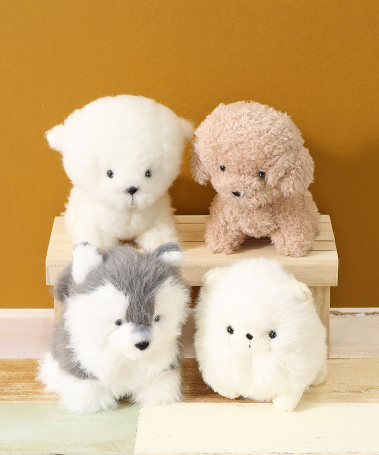 犬のぬいぐるみ 母の日 プレゼント 花束 可愛い 犬 ぬいぐるみ チワワ/トイプードル