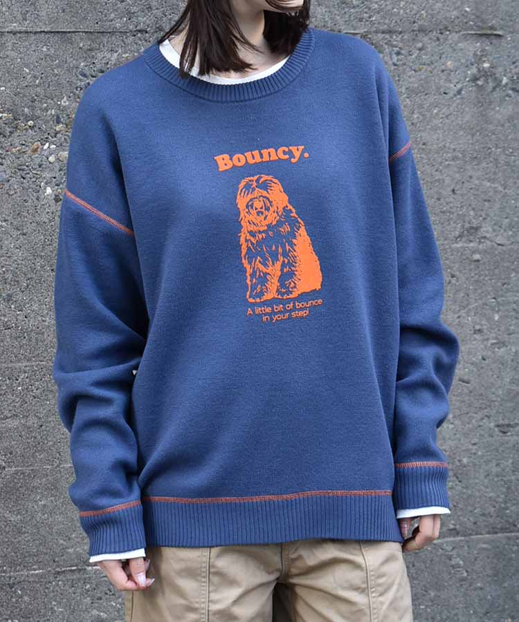 Bouncy.フロッキープリントニットプルオーバー | Bleu Bleuet（ブルー