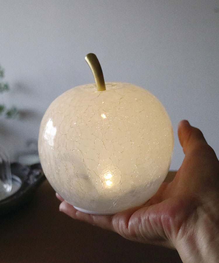 メルカリ便発送‼︎　リップルエフェクト　ランナー子株　鉢付き発送‼︎ メルカリ便発送‼︎ リップルエフェクト ランナー子株 鉢付き発送